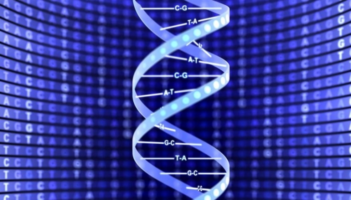 DNA double helix 56a09b665f9b58eba4b205d4 e1558800047968