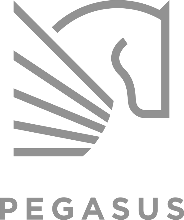 Pegasus Logo Slate RGB 1105006 e1660221970732