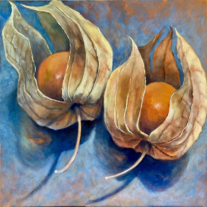 Physalis reduced Pinch
